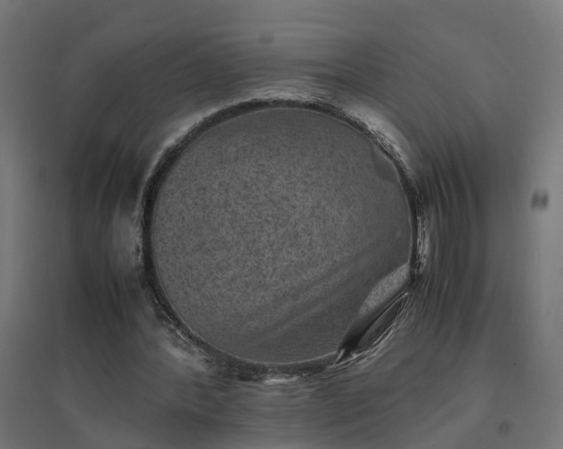 X0000094970388200712061433