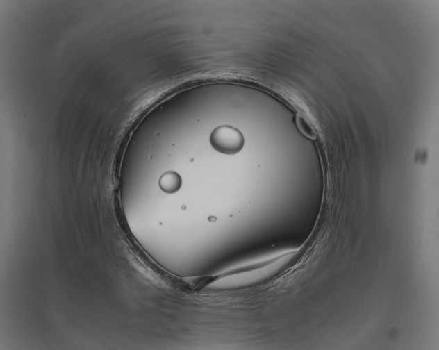 X0000094970389200712061433