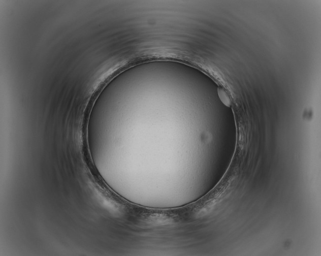 X0000094970390200712061433