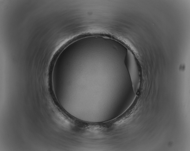 X0000094970391200712061433