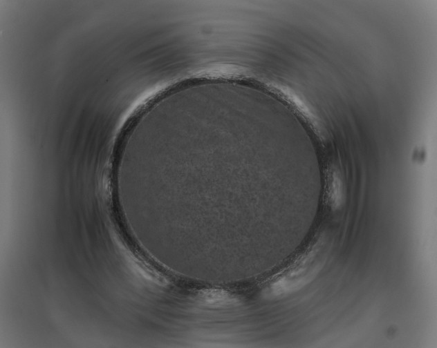 X0000094970392200712061433