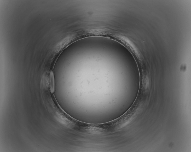 X0000094970393200712061433