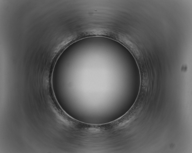 X0000094970394200712061433