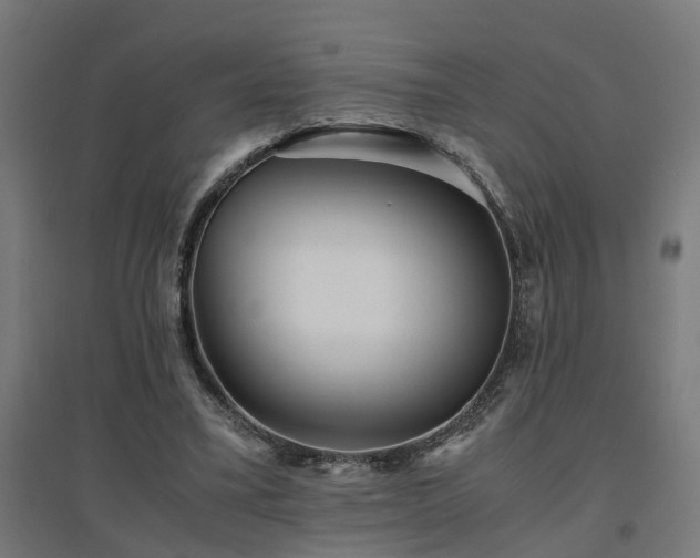 X0000094970395200712061433