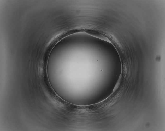 X0000094970396200712061432