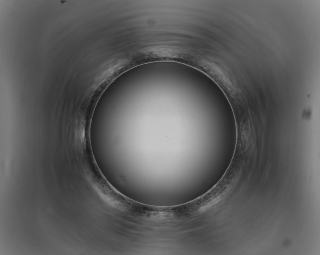 X0000094970398200712061432