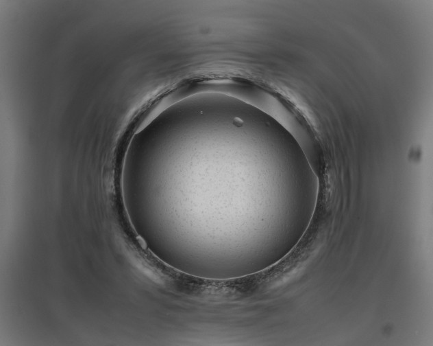 X0000094970399200712061432