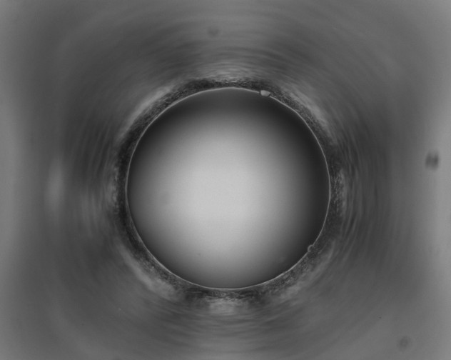 X0000094970400200712061432