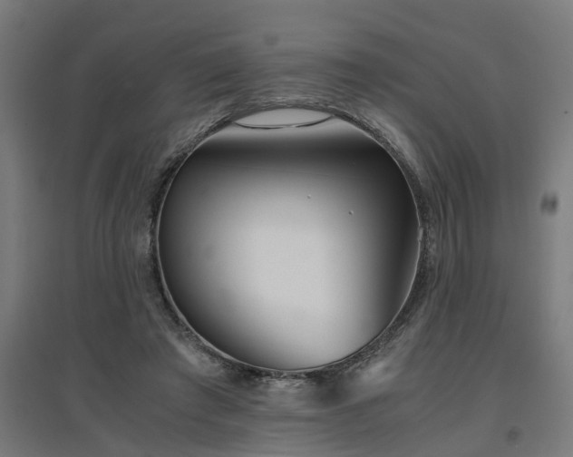 X0000094970401200712061432