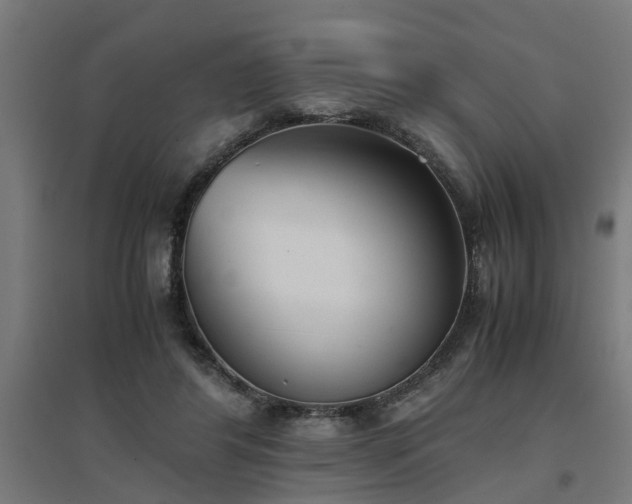 X0000094970404200712061432