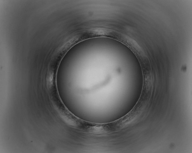 X0000094970406200712061432