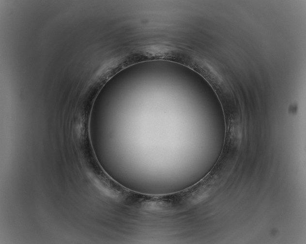 X0000094970408200712061432