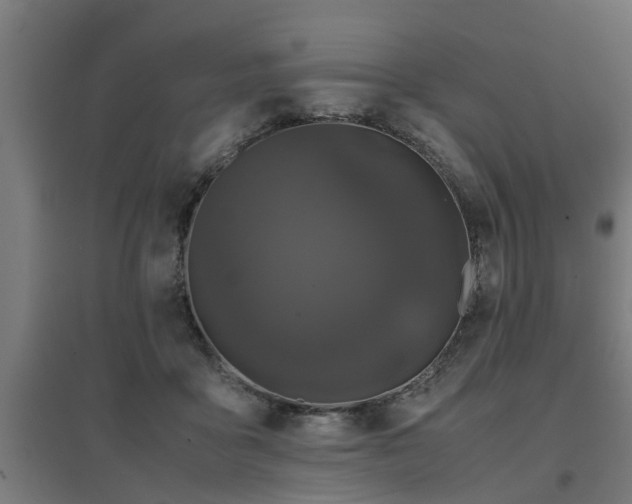 X0000094970411200712061432