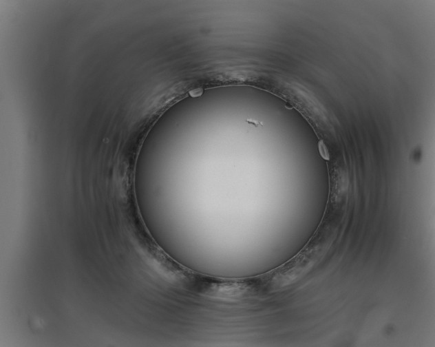 X0000094970414200712061432