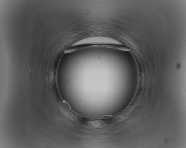 X0000094970417200712061432