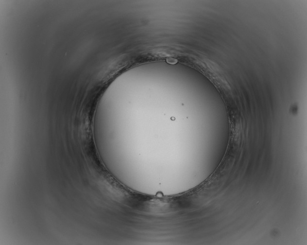 X0000094970418200712061432