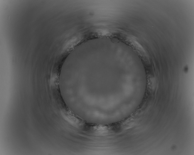 X0000094970419200712061432