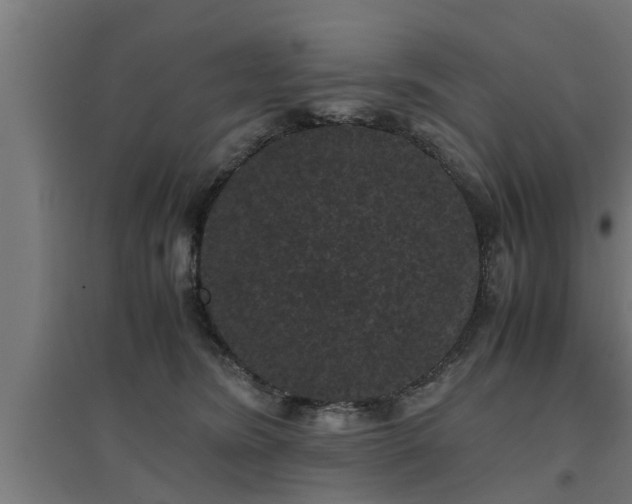 X0000094970420200712061432