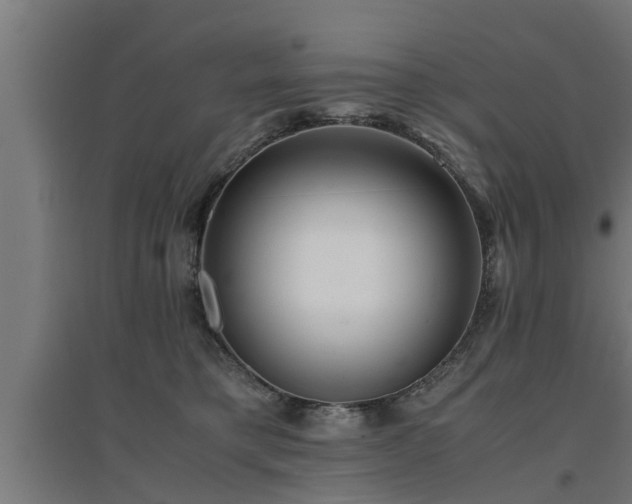 X0000094970421200712061432