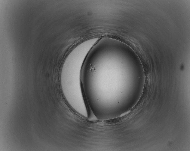 X0000094970423200712061432