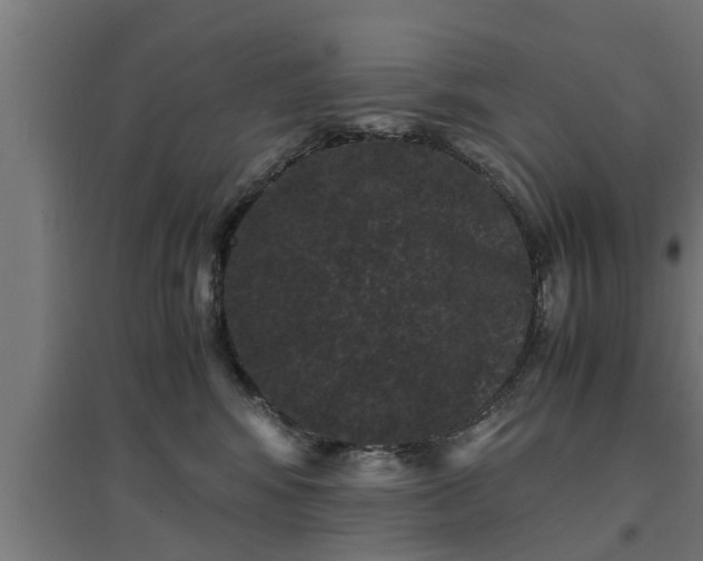 X0000094970424200712061432