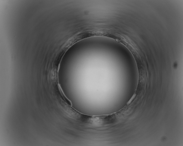 X0000094970425200712061432