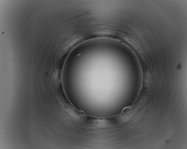 X0000094970428200712061432