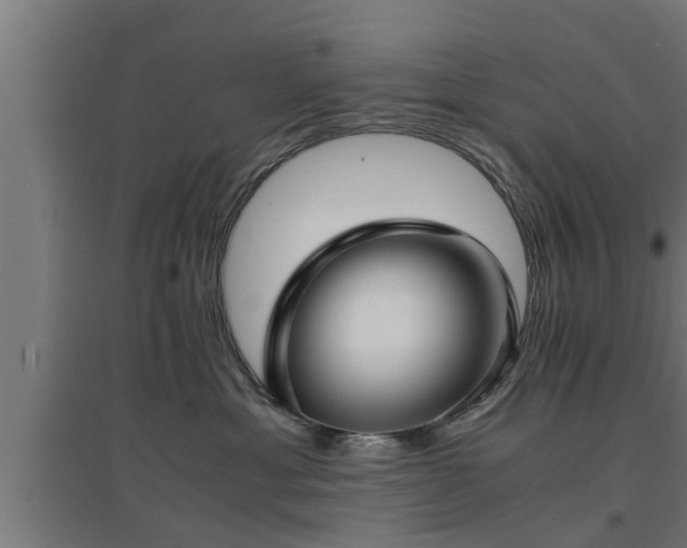 X0000094970429200712061432