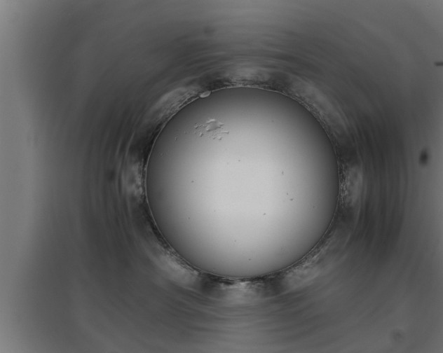 X0000094970430200712061432