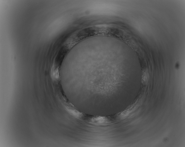 X0000094970431200712061432