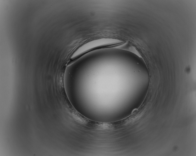 X0000094970432200712061432