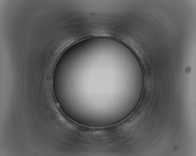 X0000094970433200712061431