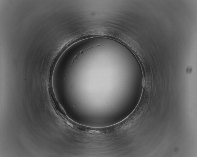 X0000094970434200712061431