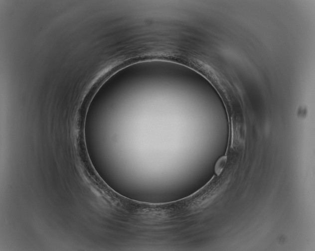 X0000094970435200712061431