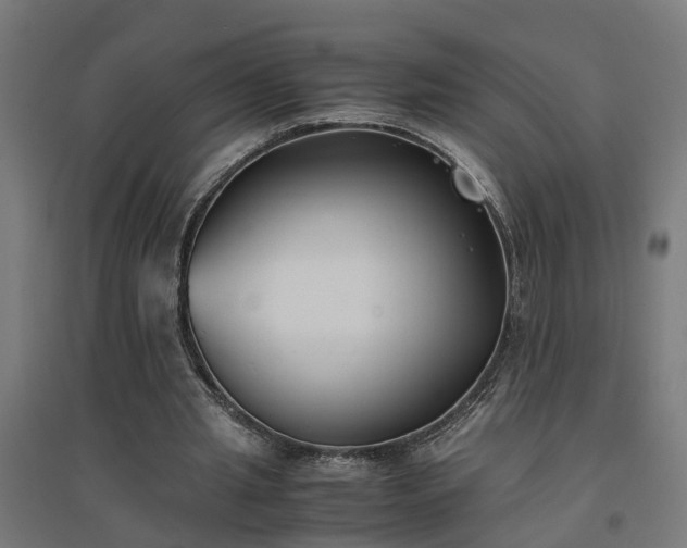 X0000094970437200712061431