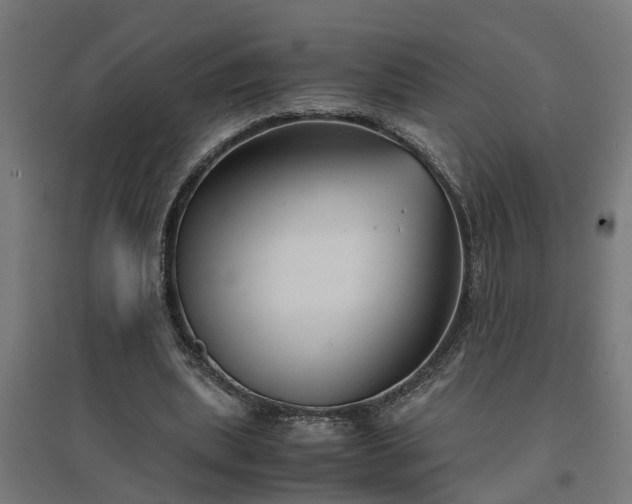 X0000094970439200712061431