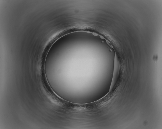 X0000094970440200712061431