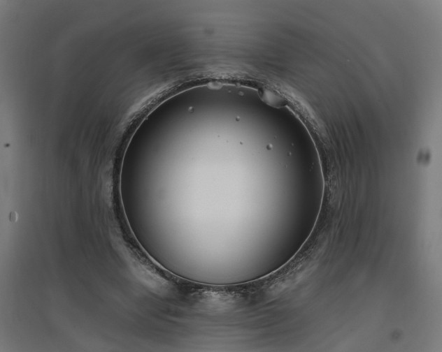 X0000094970442200712061431