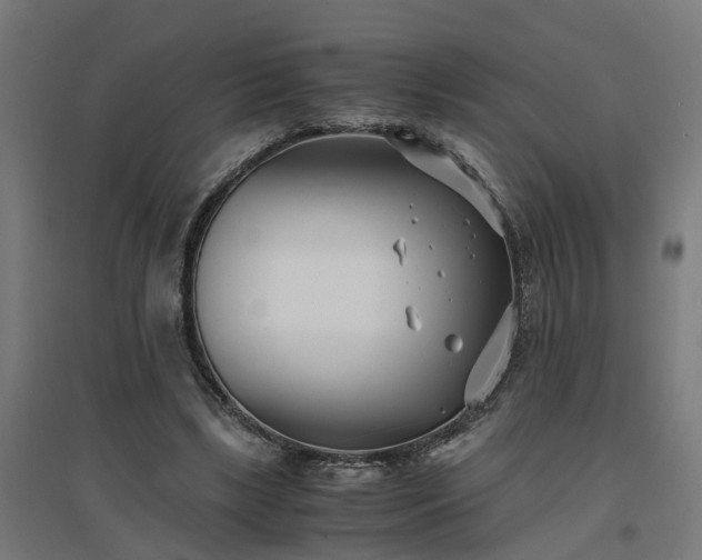 X0000094970443200712061431