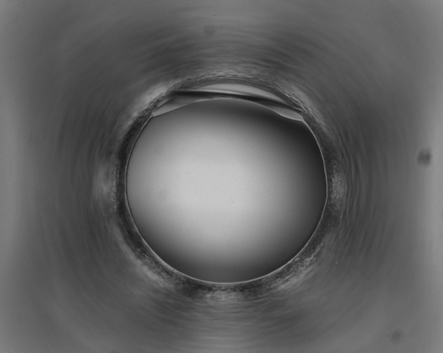 X0000094970444200712061431