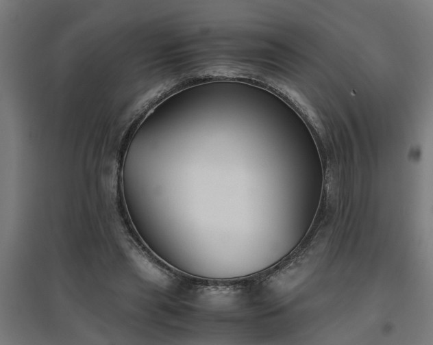 X0000094970445200712061431