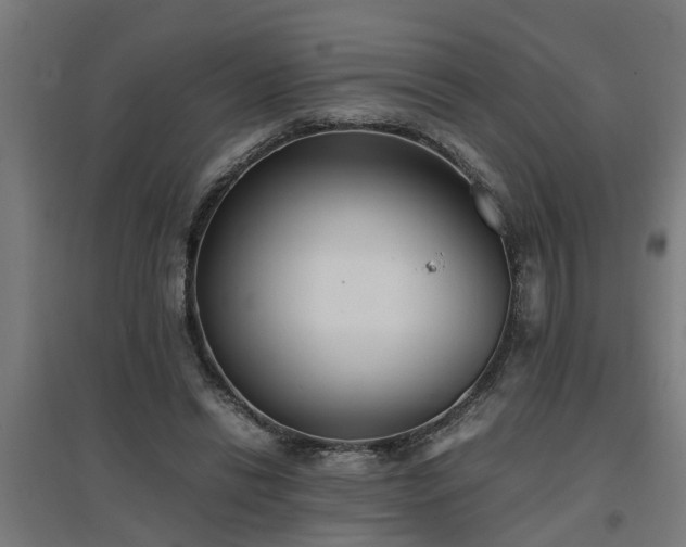 X0000094970446200712061432