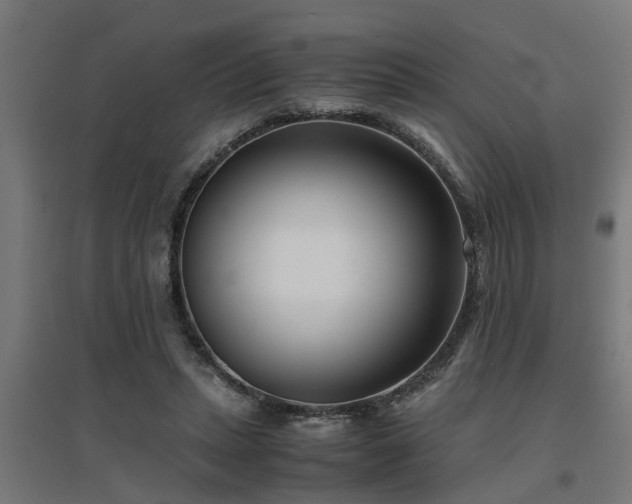 X0000094970447200712061432