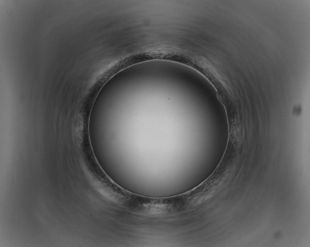 X0000094970448200712061432