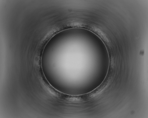 X0000094970449200712061432