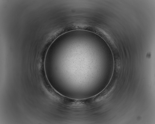 X0000094970451200712061432