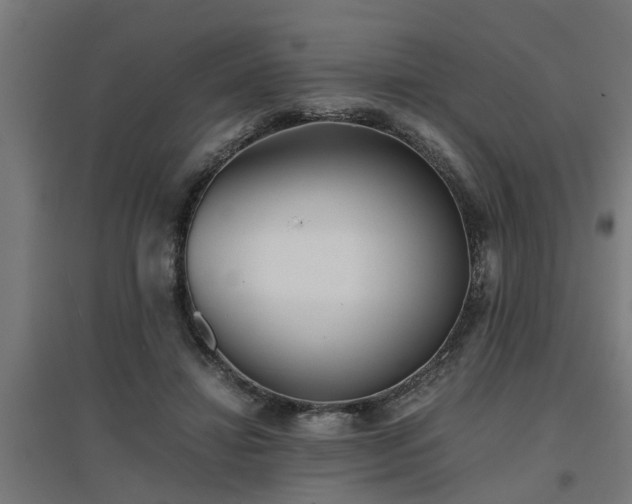 X0000094970452200712061432