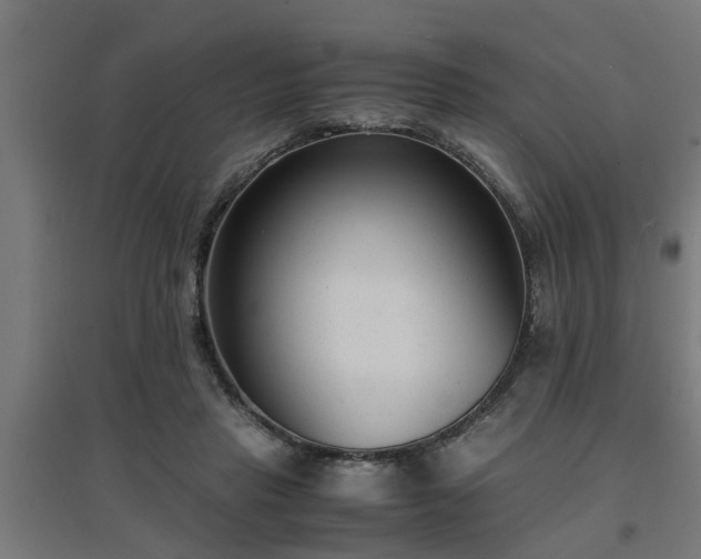 X0000094970453200712061432