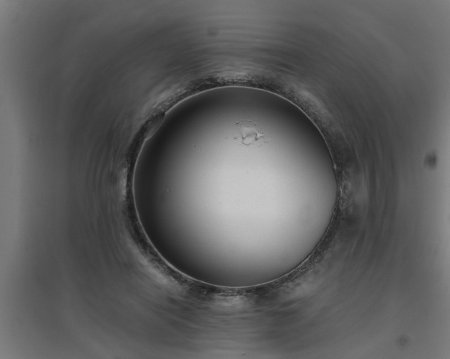 X0000094970454200712061432