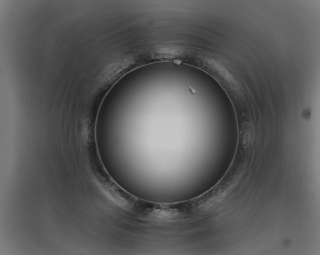 X0000094970455200712061432